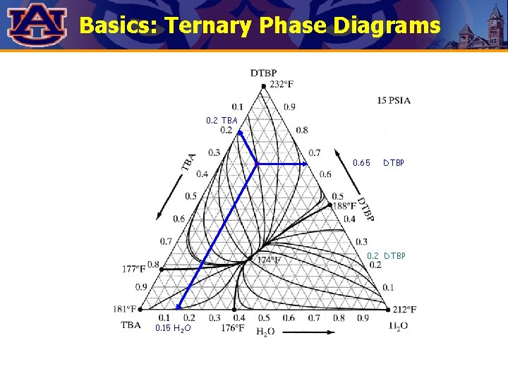 Basics: Ternary Phase Diagrams 0. 2 TBA 0. 65 DTBP 0. 2 DTBP 0.