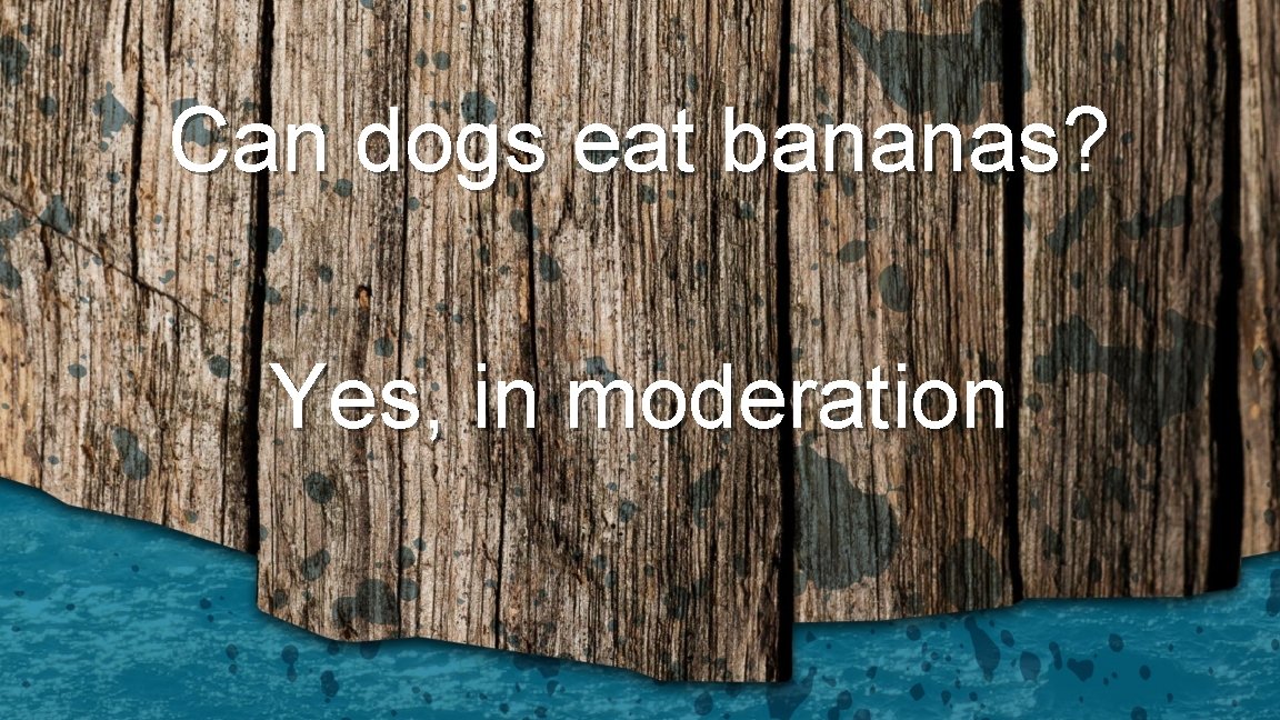 Can dogs eat bananas? Yes, in moderation 