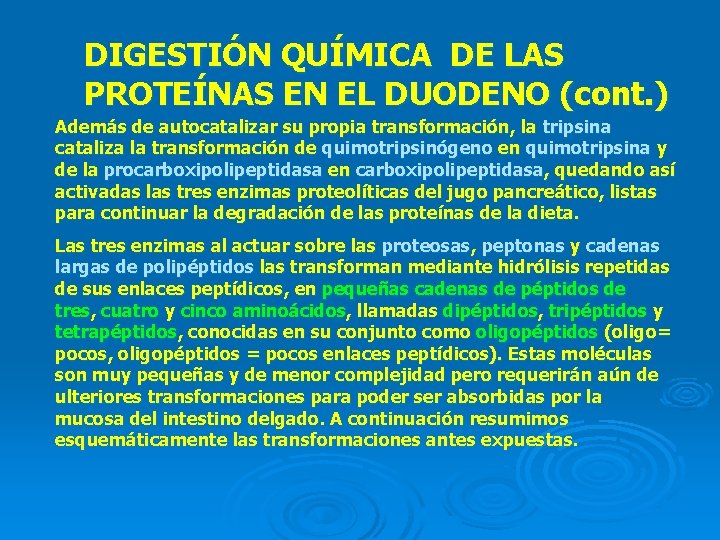 DIGESTIÓN QUÍMICA DE LAS PROTEÍNAS EN EL DUODENO (cont. ) Además de autocatalizar su DIGESTIÓN QUÍMICA DE LAS PROTEÍNAS EN EL DUODENO (cont. ) Además de autocatalizar su