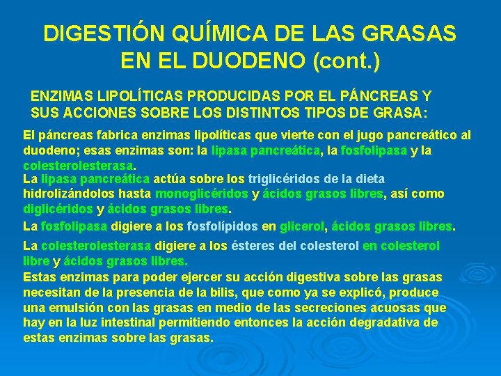 DIGESTIÓN QUÍMICA DE LAS GRASAS EN EL DUODENO (cont. ) ENZIMAS LIPOLÍTICAS PRODUCIDAS POR