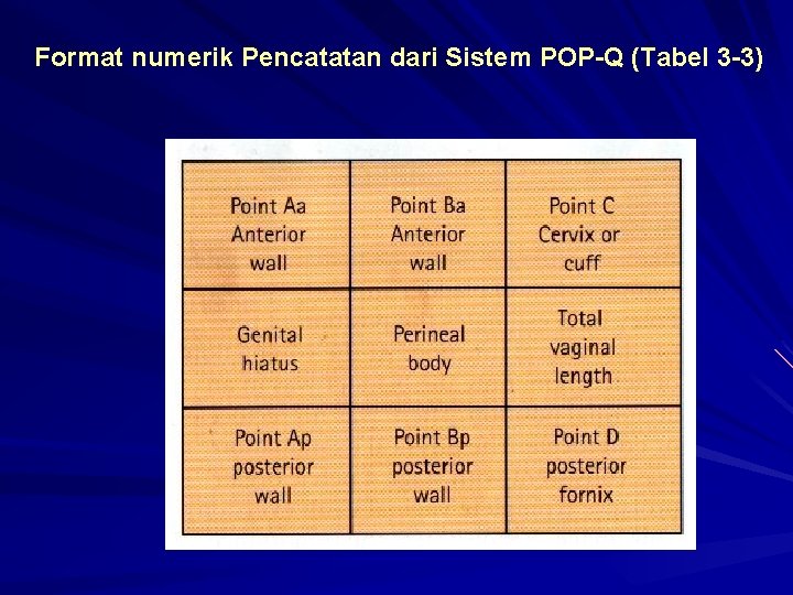 Format numerik Pencatatan dari Sistem POP-Q (Tabel 3 -3) 
