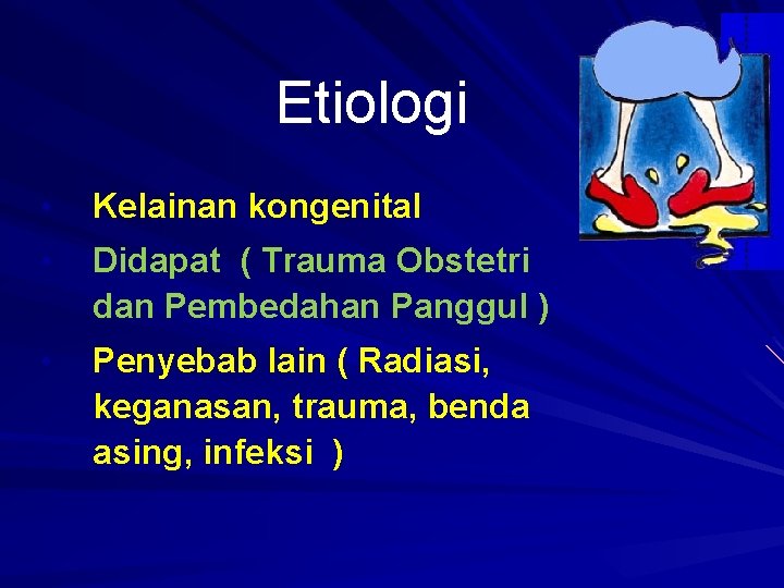 Etiologi • Kelainan kongenital • Didapat ( Trauma Obstetri dan Pembedahan Panggul ) •