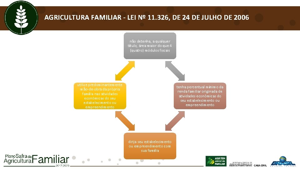 AGRICULTURA FAMILIAR - LEI Nº 11. 326, DE 24 DE JULHO DE 2006 não