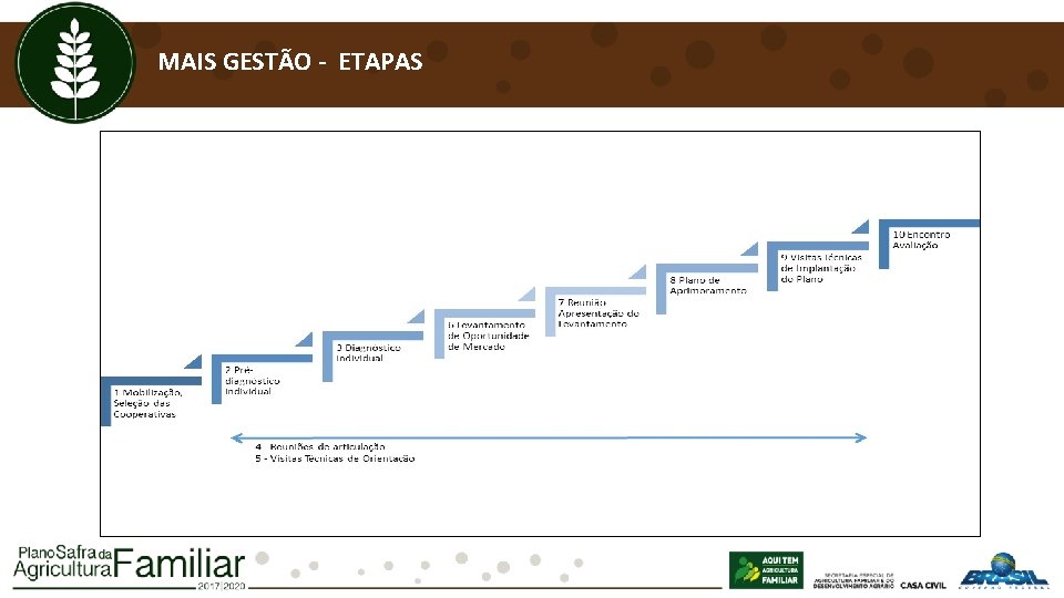 MAIS GESTÃO - ETAPAS 