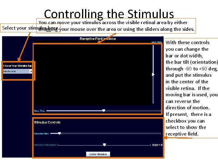 Controlling the Stimulus You can move your stimulus across the visible retinal area by