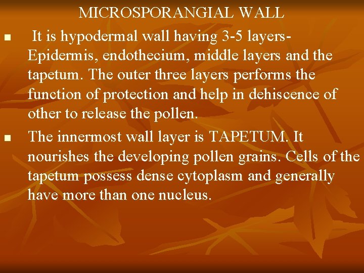 n n MICROSPORANGIAL WALL It is hypodermal wall having 3 -5 layers. Epidermis, endothecium,