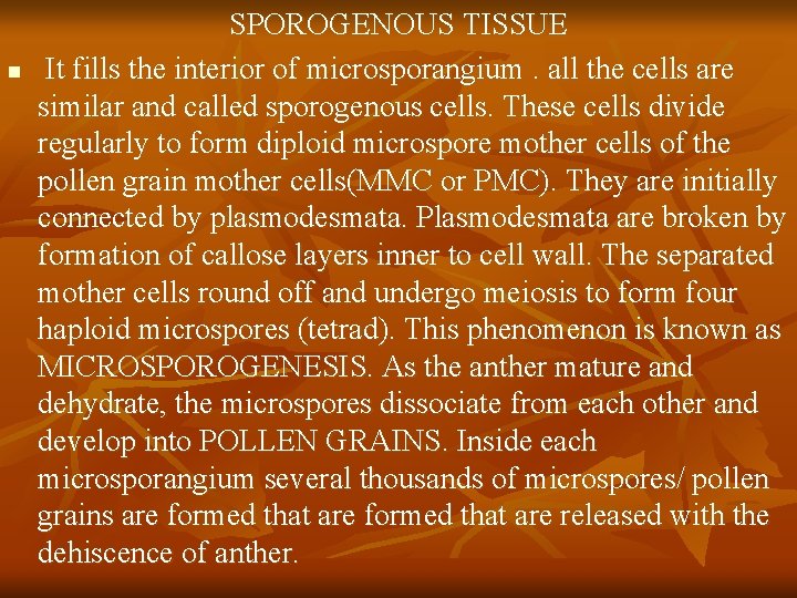 n SPOROGENOUS TISSUE It fills the interior of microsporangium. all the cells are similar