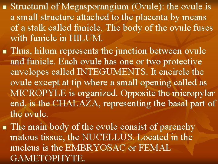 n n n Structural of Megasporangium (Ovule): the ovule is a small structure attached