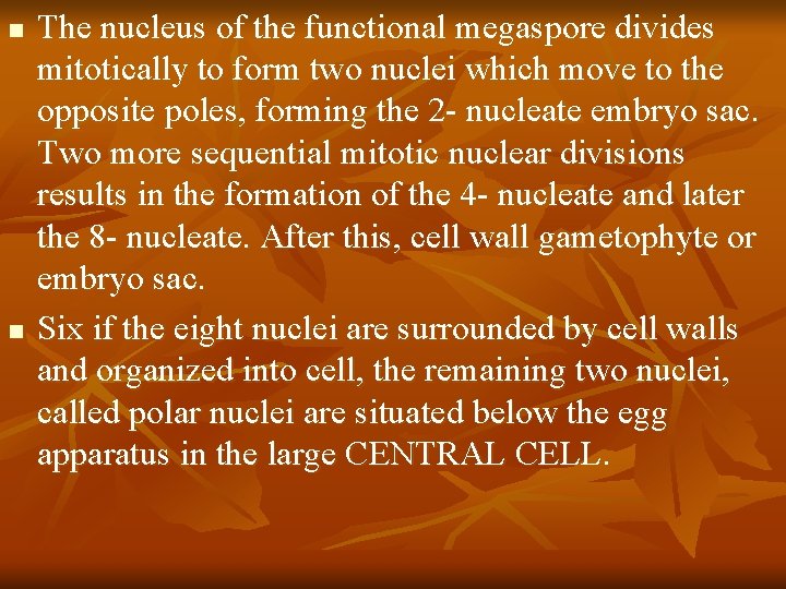 n n The nucleus of the functional megaspore divides mitotically to form two nuclei