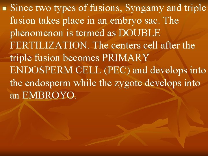n Since two types of fusions, Syngamy and triple fusion takes place in an