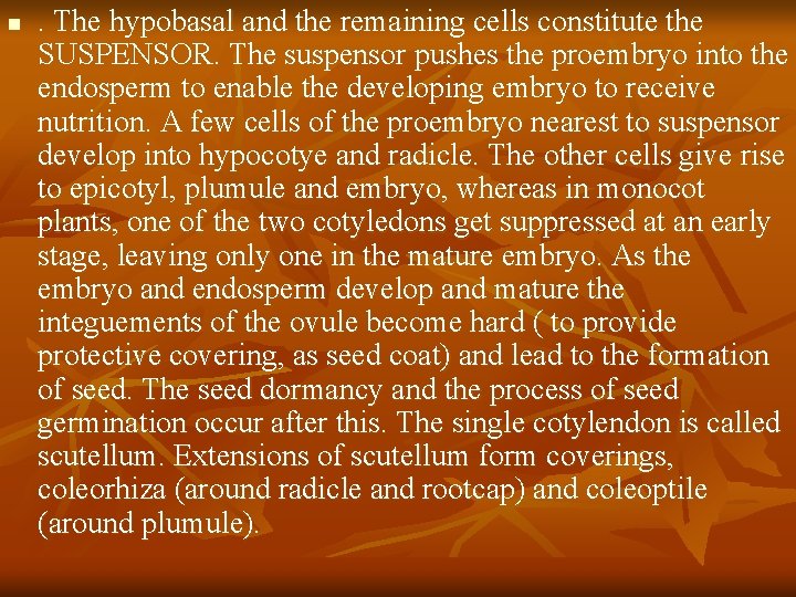 n . The hypobasal and the remaining cells constitute the SUSPENSOR. The suspensor pushes