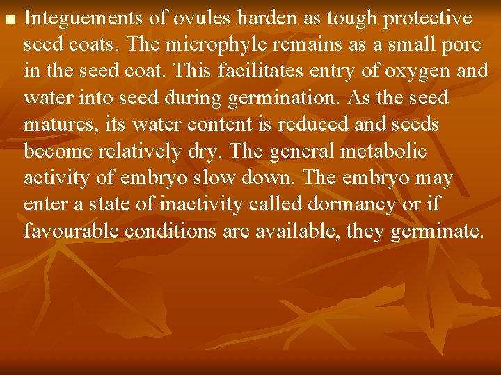 n Integuements of ovules harden as tough protective seed coats. The microphyle remains as