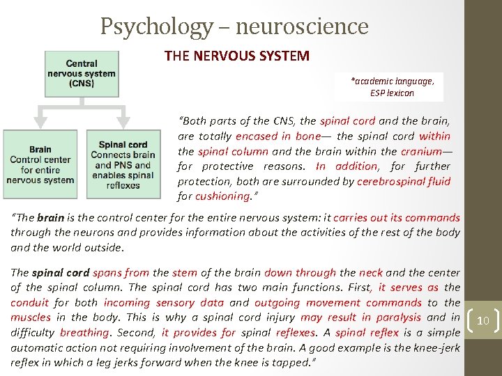 Psychology – neuroscience THE NERVOUS SYSTEM *academic language, ESP lexicon “Both parts of the