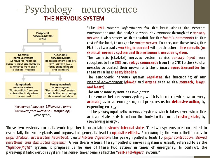 – Psychology – neuroscience THE NERVOUS SYSTEM *academic language, ESP lexicon, terms borrowed from