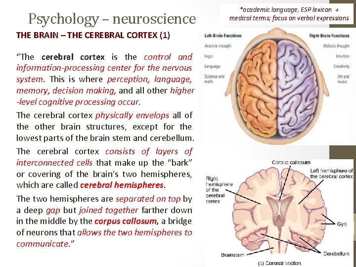Psychology – neuroscience *academic language, ESP lexicon + medical terms; focus on verbal expressions