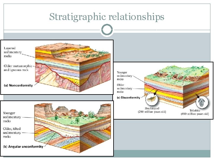 Stratigraphic relationships 