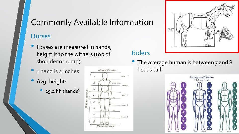 Commonly Available Information Horses • Horses are measured in hands, height is to the Commonly Available Information Horses • Horses are measured in hands, height is to the
