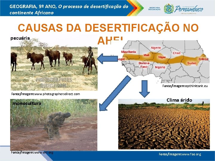 GEOGRAFIA, 9º ANO, O processo de desertificação do continente Africano CAUSAS DA DESERTIFICAÇÃO NO