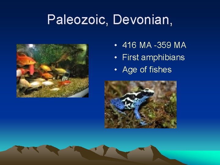 Paleozoic, Devonian, • 416 MA -359 MA • First amphibians • Age of fishes