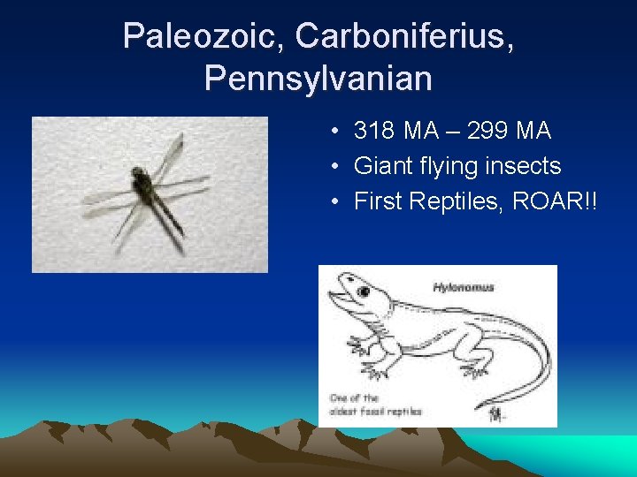 Paleozoic, Carboniferius, Pennsylvanian • 318 MA – 299 MA • Giant flying insects •