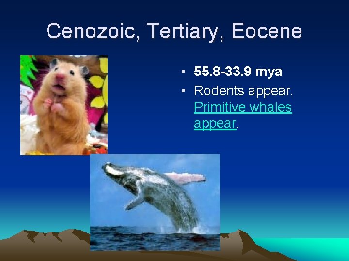 Cenozoic, Tertiary, Eocene • 55. 8 -33. 9 mya • Rodents appear. Primitive whales
