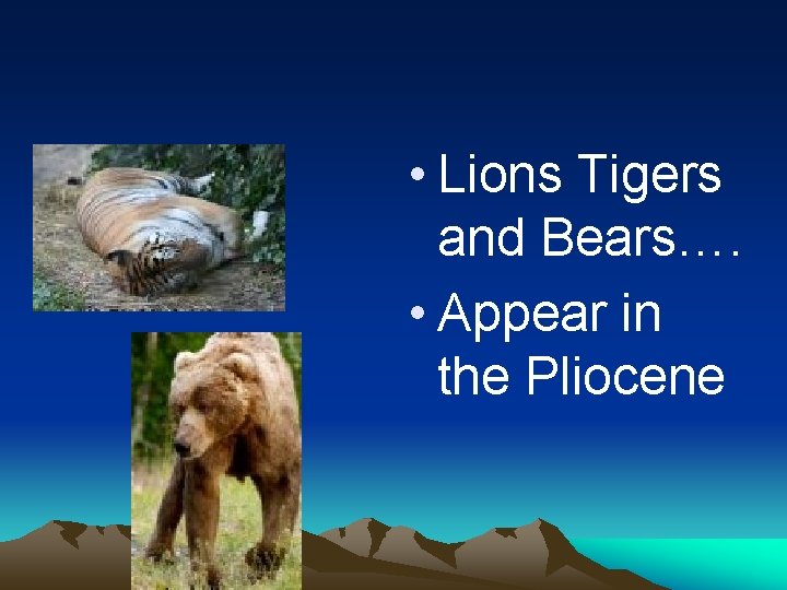  • Lions Tigers and Bears…. • Appear in the Pliocene 