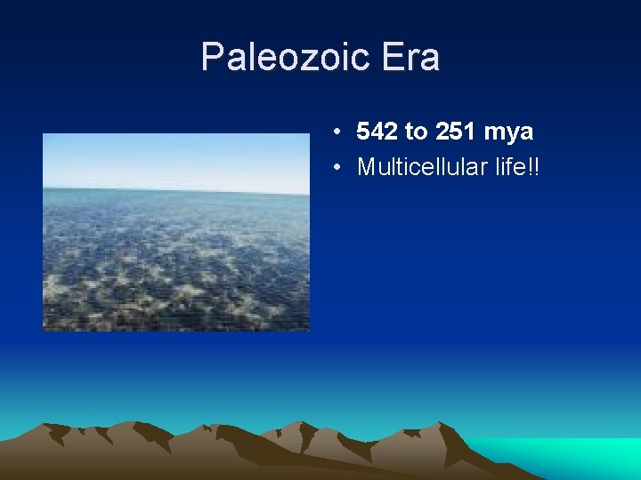 Paleozoic Era • 542 to 251 mya • Multicellular life!! 