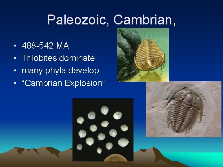 Paleozoic, Cambrian, • • 488 -542 MA Trilobites dominate many phyla develop. “Cambrian Explosion”