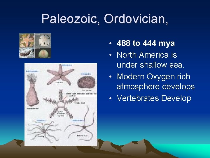 Paleozoic, Ordovician, • 488 to 444 mya • North America is under shallow sea.