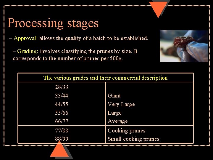 Processing stages – Approval: allows the quality of a batch to be established. –