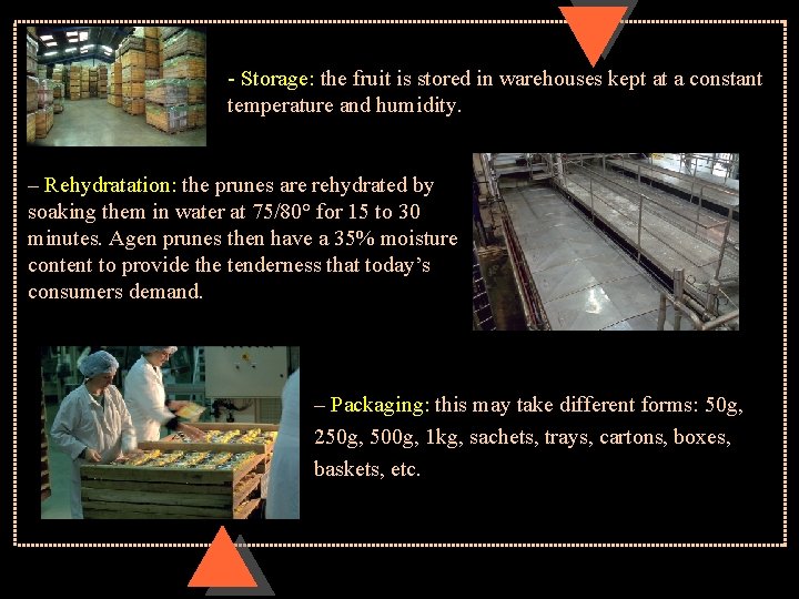 - Storage: the fruit is stored in warehouses kept at a constant temperature and