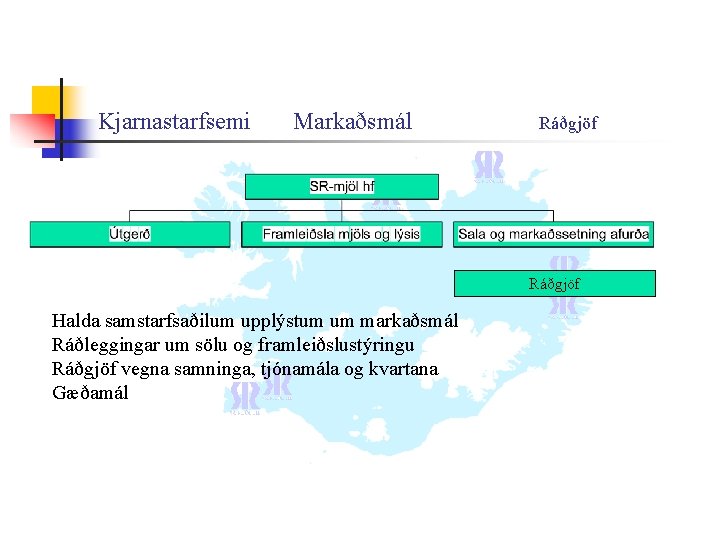 Kjarnastarfsemi Markaðsmál Ráðgjöf Halda samstarfsaðilum upplýstum um markaðsmál Ráðleggingar um sölu og framleiðslustýringu Ráðgjöf