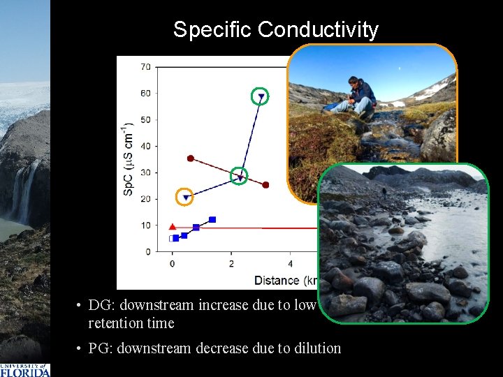 Specific Conductivity • DG: downstream increase due to low water-rock ratio, longer retention time