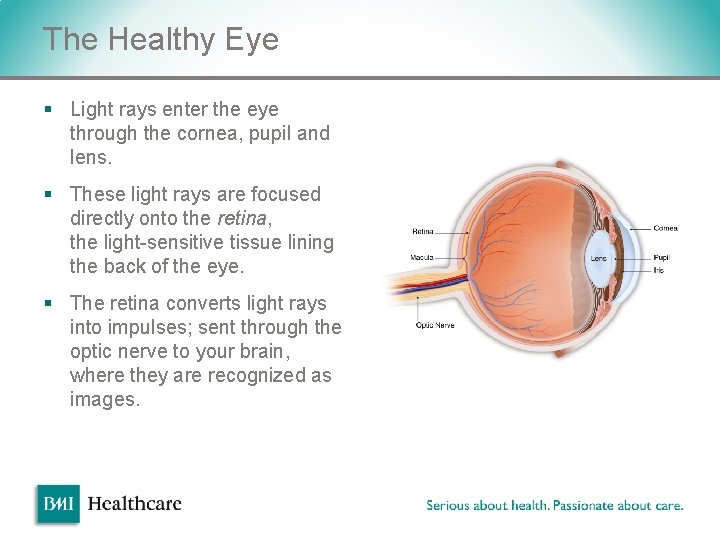 The Healthy Eye § Light rays enter the eye through the cornea, pupil and The Healthy Eye § Light rays enter the eye through the cornea, pupil and