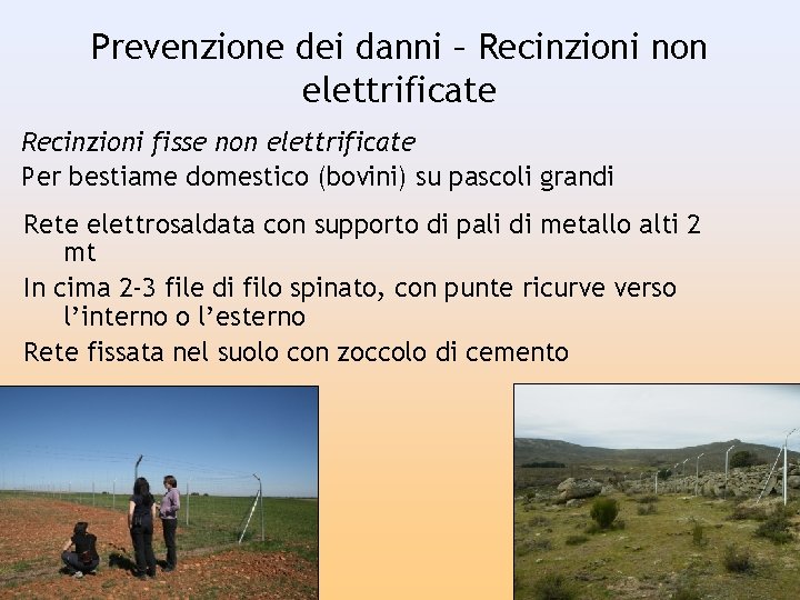 Prevenzione dei danni – Recinzioni non elettrificate Recinzioni fisse non elettrificate Per bestiame domestico