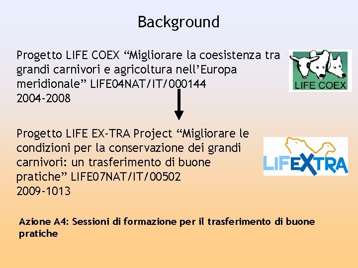 Background Progetto LIFE COEX “Migliorare la coesistenza tra grandi carnivori e agricoltura nell’Europa meridionale”
