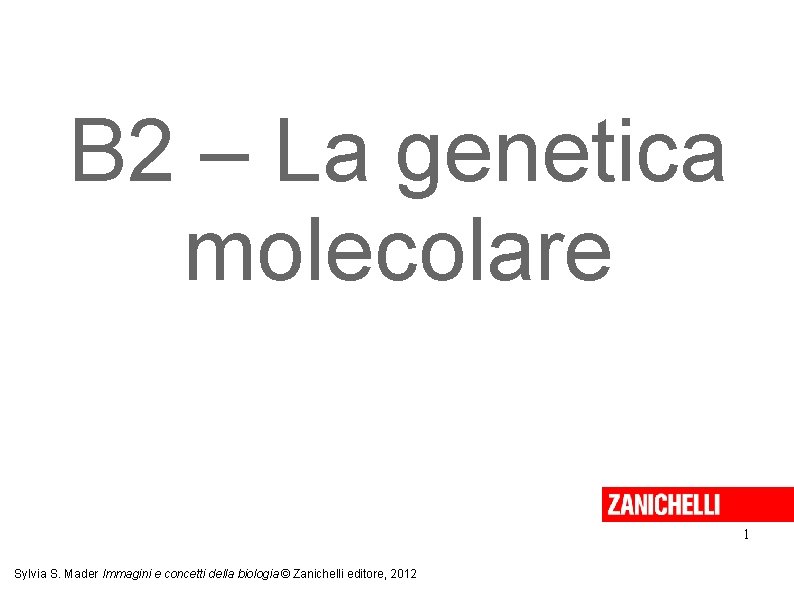B 2 – La genetica molecolare 1 Sylvia S. Mader Immagini e concetti della