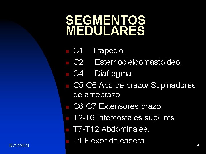 SEGMENTOS MEDULARES n n n n 05/12/2020 n C 1 Trapecio. C 2 Esternocleidomastoideo.