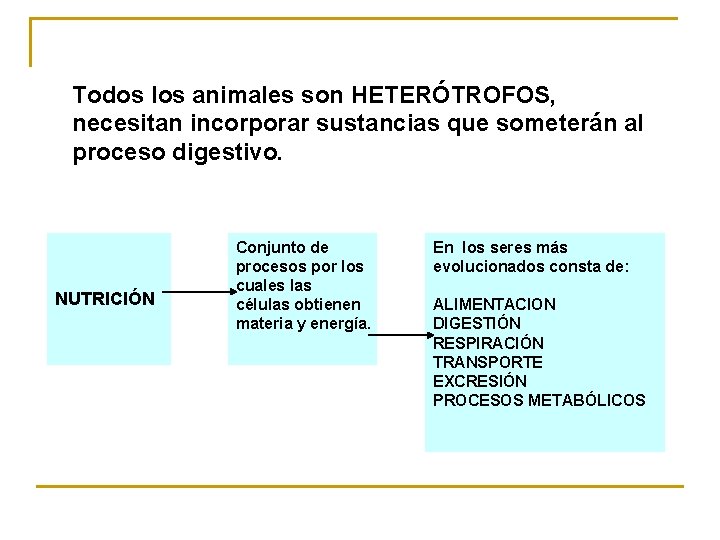 Todos los animales son HETERÓTROFOS, necesitan incorporar sustancias que someterán al proceso digestivo. NUTRICIÓN