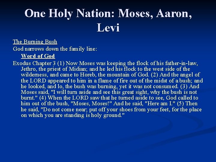 One Holy Nation: Moses, Aaron, Levi The Burning Bush God narrows down the family One Holy Nation: Moses, Aaron, Levi The Burning Bush God narrows down the family