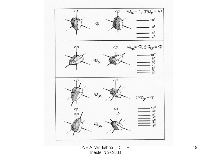FIGURE 15 I. A. E. A. Workshop - I. C. T. P. Trieste, Nov.