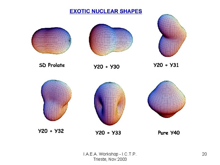 I. A. E. A. Workshop - I. C. T. P. Trieste, Nov. 2003 20