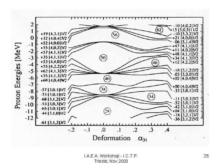 I. A. E. A. Workshop - I. C. T. P. Trieste, Nov. 2003 25