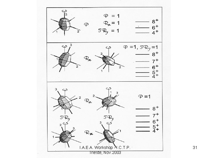 Figure 10 I. A. E. A. Workshop - I. C. T. P. Trieste, Nov.