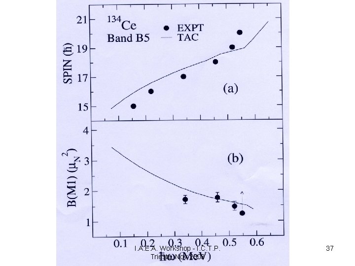I. A. E. A. Workshop - I. C. T. P. Trieste, Nov. 2003 37