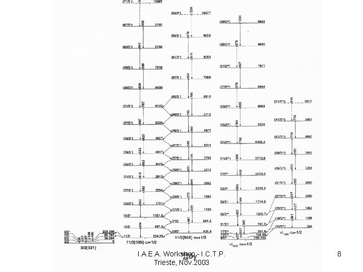 I. A. E. A. Workshop - I. C. T. P. Trieste, Nov. 2003 8