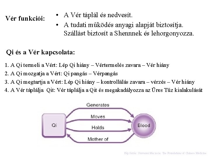 Vér funkciói: • A Vér táplál és nedvesít. • A tudati működés anyagi alapját