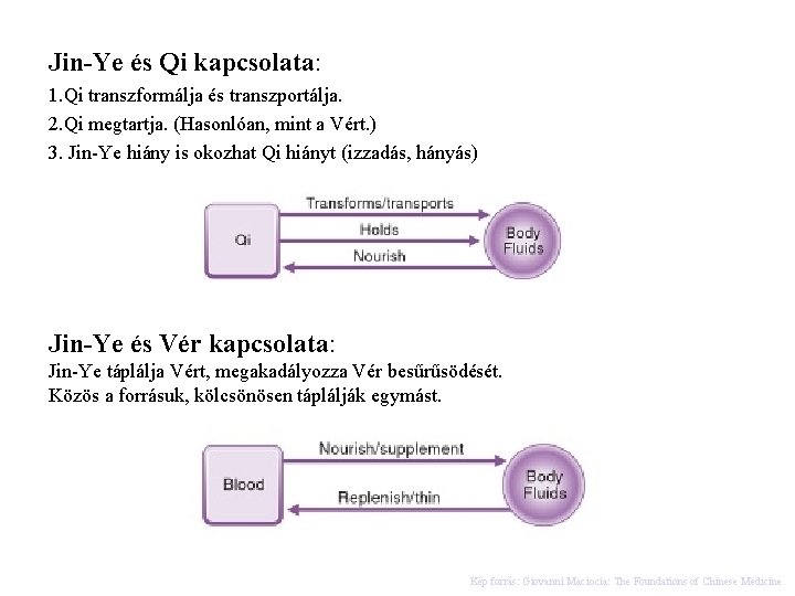 Jin-Ye és Qi kapcsolata: 1. Qi transzformálja és transzportálja. 2. Qi megtartja. (Hasonlóan, mint