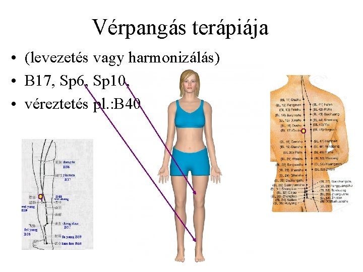 Vérpangás terápiája • (levezetés vagy harmonizálás) • B 17, Sp 6, Sp 10, •