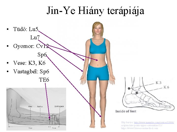 Jin-Ye Hiány terápiája • Tüdő: Lu 5 Lu 7 • Gyomor: Cv 12 Sp